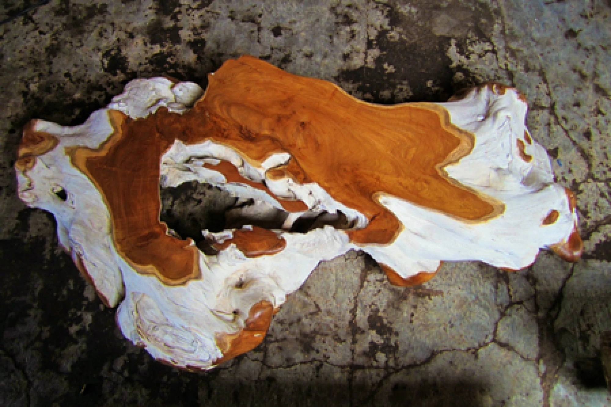 Sanjaya Art Wood
